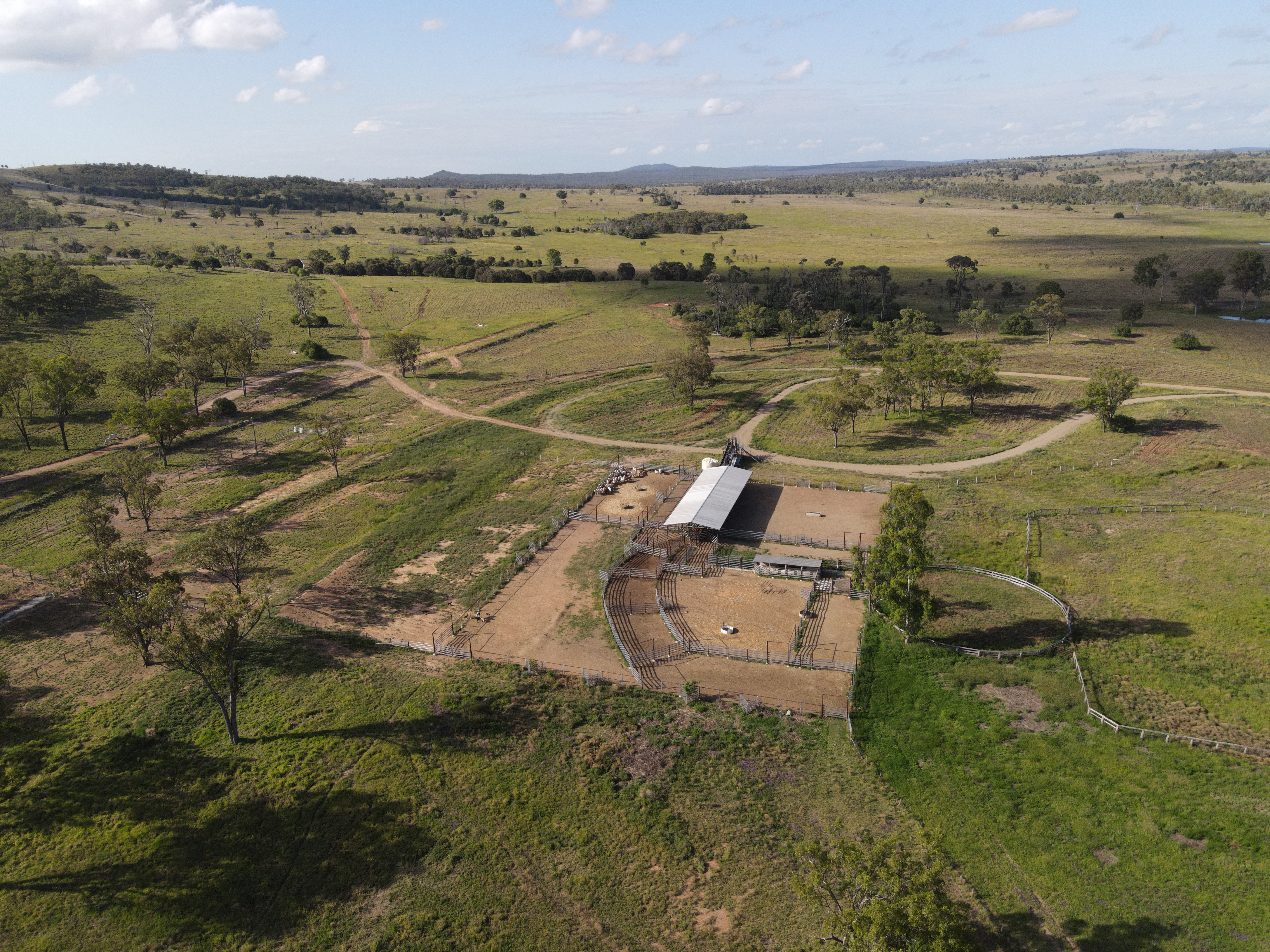 DJI_0483.jpg